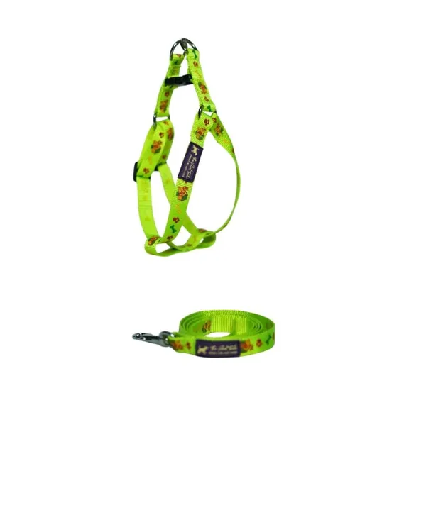 Velvetpup_First_Walk_Set