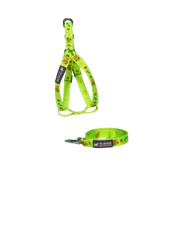 Velvetpup_First_Walk_Set