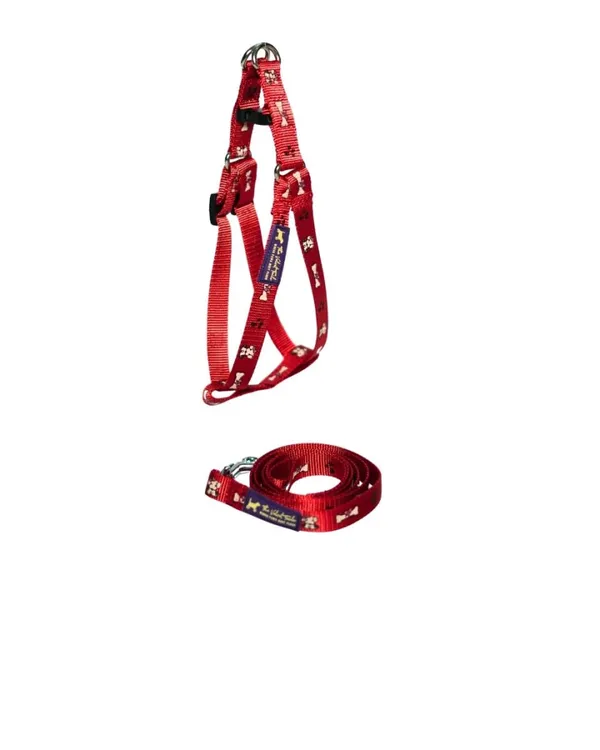 Velvetpup_First_Walk_Set