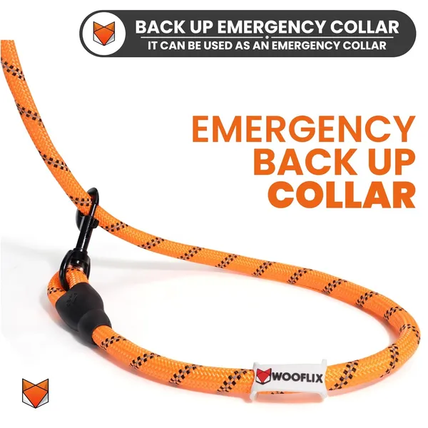 Nylon_Dog_Leash_With_Padded_Handle