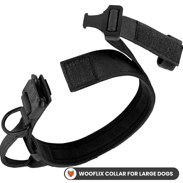 Metal_Buckle_Nylon_Dog_Collar