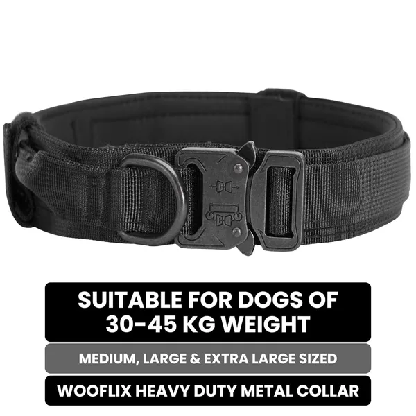Metal_Buckle_Nylon_Dog_Collar