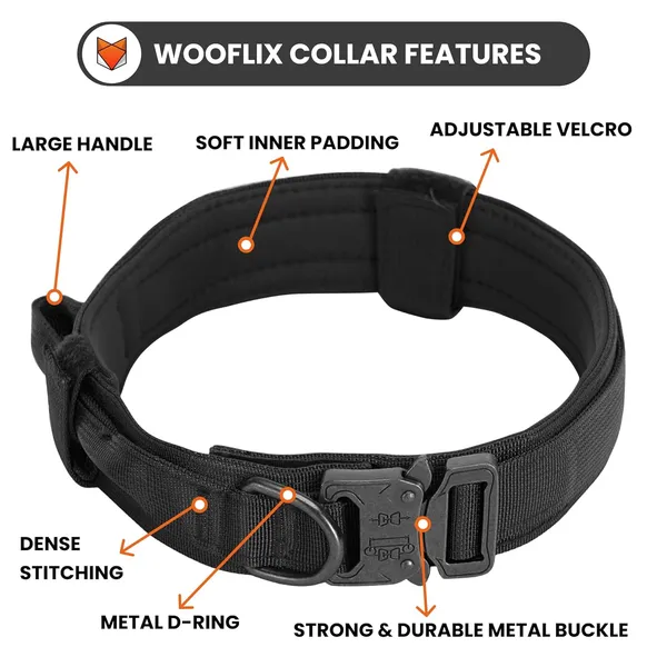 Metal_Buckle_Nylon_Dog_Collar