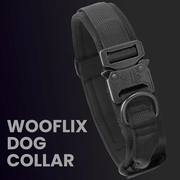 Metal_Buckle_Nylon_Dog_Collar