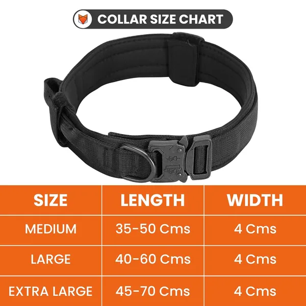 Metal_Buckle_Nylon_Dog_Collar