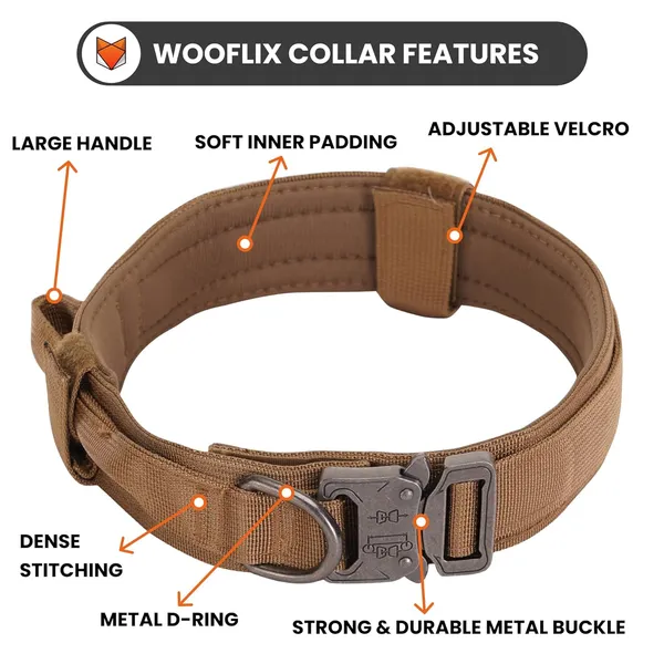 Metal_Buckle_Nylon_Dog_Collar