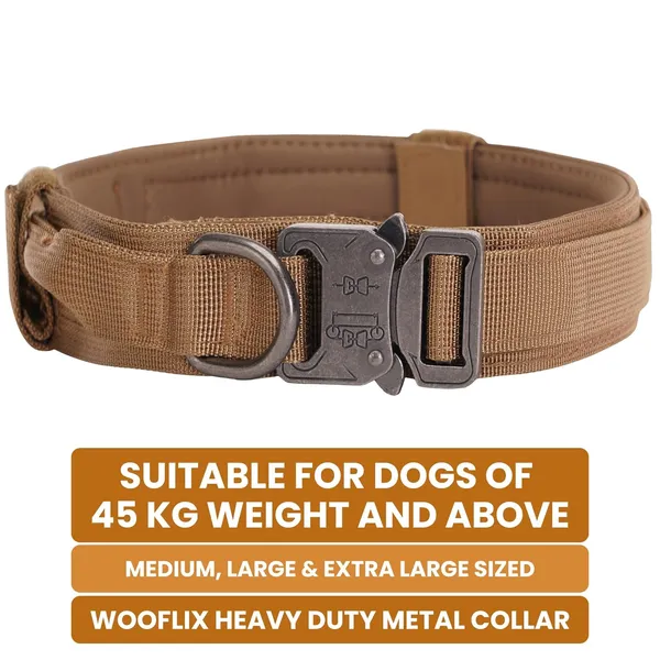 Metal_Buckle_Nylon_Dog_Collar