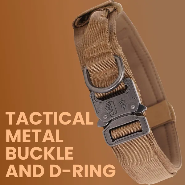 Metal_Buckle_Nylon_Dog_Collar