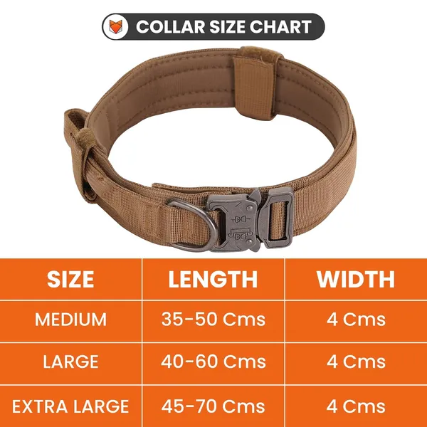 Metal_Buckle_Nylon_Dog_Collar