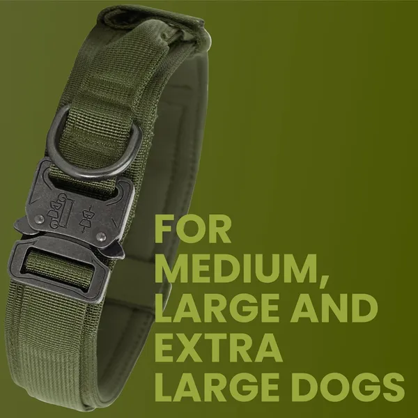Metal_Buckle_Nylon_Dog_Collar