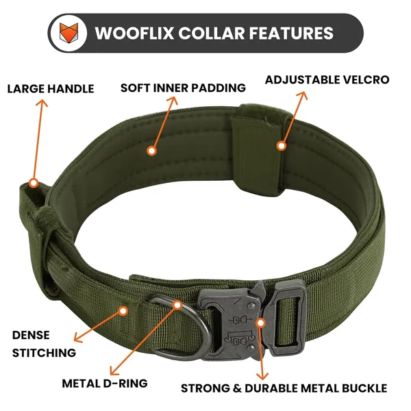 Metal_Buckle_Nylon_Dog_Collar
