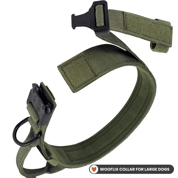 Metal_Buckle_Nylon_Dog_Collar