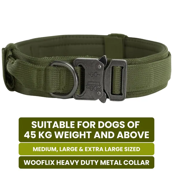 Metal_Buckle_Nylon_Dog_Collar