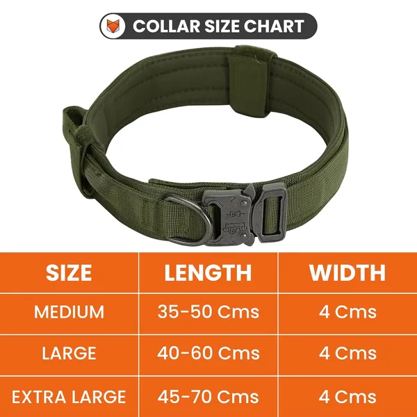 Metal_Buckle_Nylon_Dog_Collar