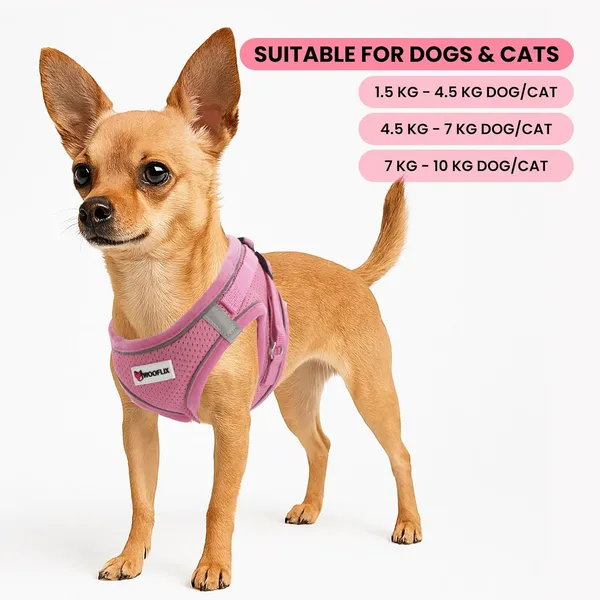 Dog_Harness_For_Small_Dogs_And_Cats