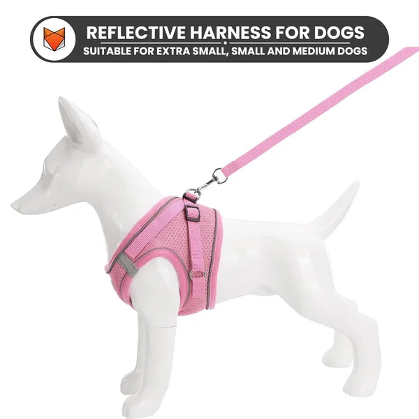Dog_Harness_For_Small_Dogs_And_Cats