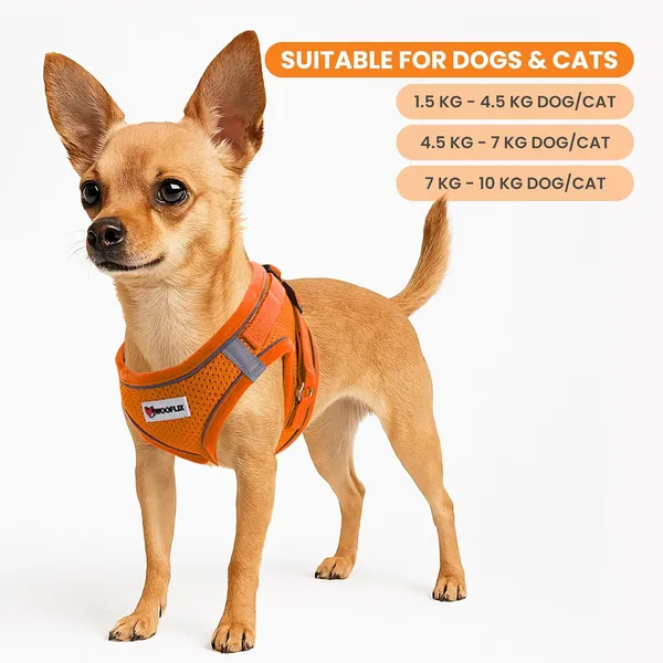 Dog_Harness_For_Small_Dogs_And_Cats