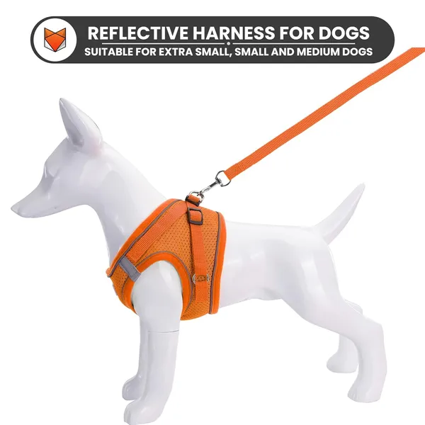Dog_Harness_For_Small_Dogs_And_Cats