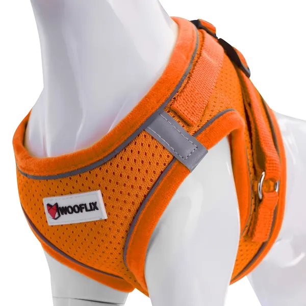 Dog_Harness_For_Small_Dogs_And_Cats