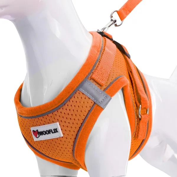 Dog_Harness_For_Small_Dogs_And_Cats