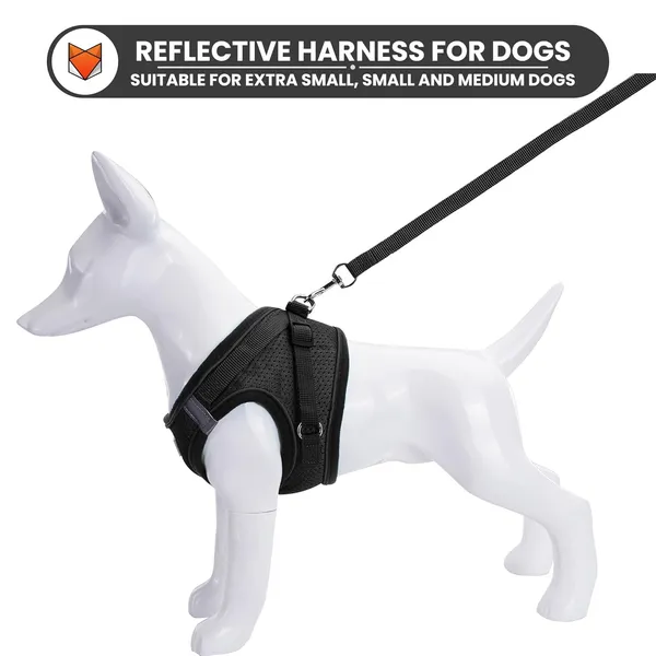 Dog_Harness_For_Small_Dogs_And_Cats