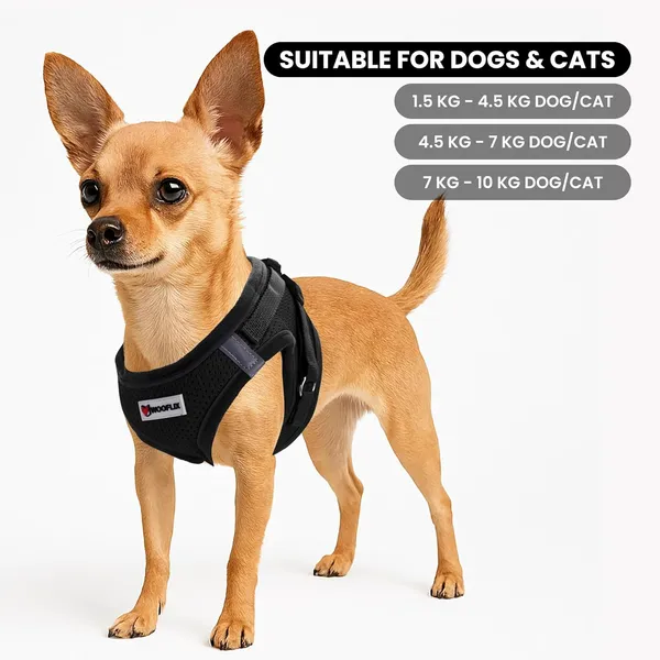Dog_Harness_For_Small_Dogs_And_Cats