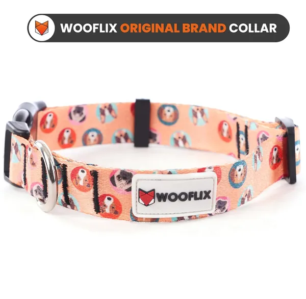 Dog_Training_Collar_With_Tactical_Buckle_And_D_Ring