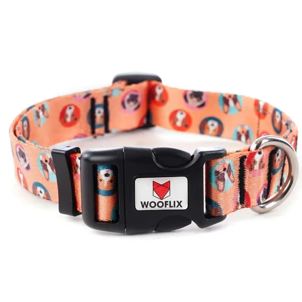 Dog_Training_Collar_With_Tactical_Buckle_And_D_Ring