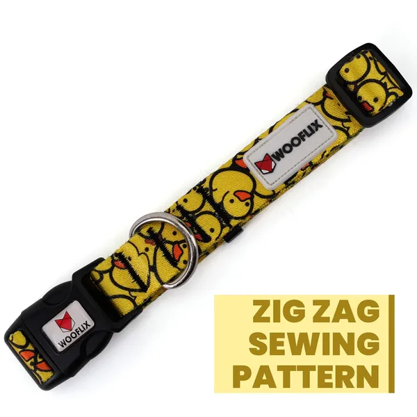 Dog_Training_Collar_With_Buckle_And_D_Ring