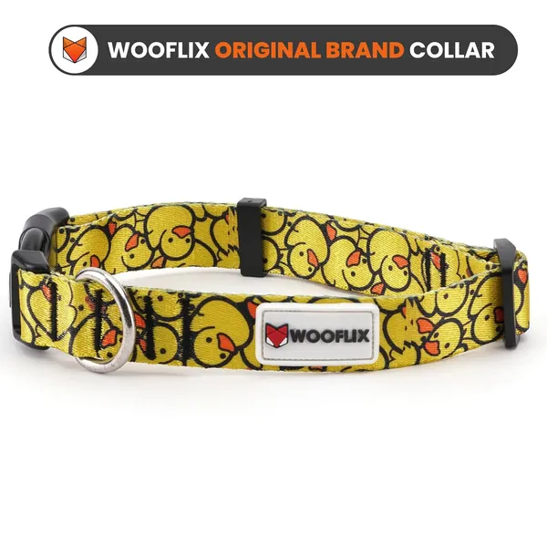 Dog_Training_Collar_With_Buckle_And_D_Ring