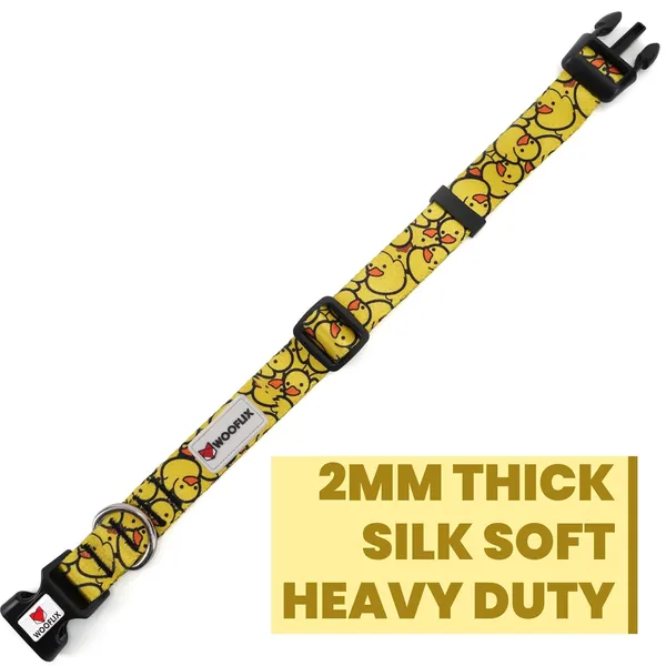 Dog_Training_Collar_With_Buckle_And_D_Ring