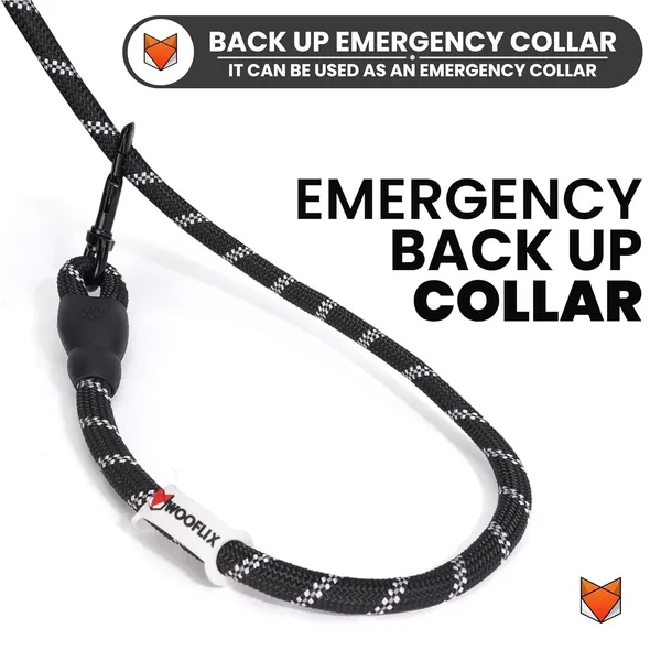 Nylon_Dog_Leash_With_Padded_Handle