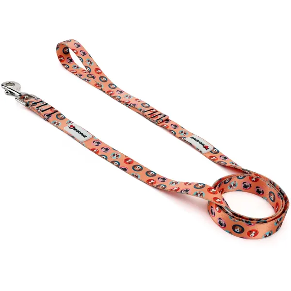 Nylon_Dog_Leash_With_Padded_Handle