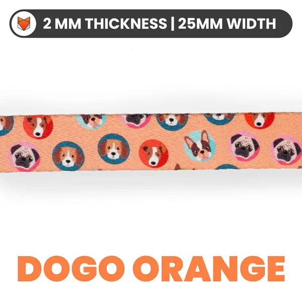Nylon_Dog_Leash_With_Padded_Handle