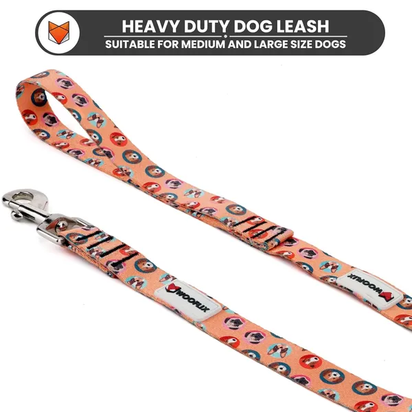 Nylon_Dog_Leash_With_Padded_Handle