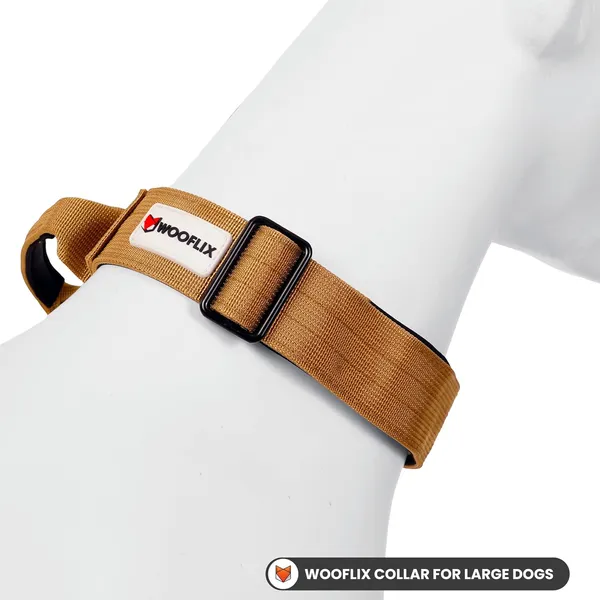 Metal_Buckle_Nylon_Dog_Collar