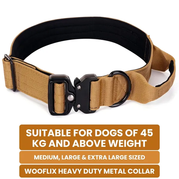 Metal_Buckle_Nylon_Dog_Collar