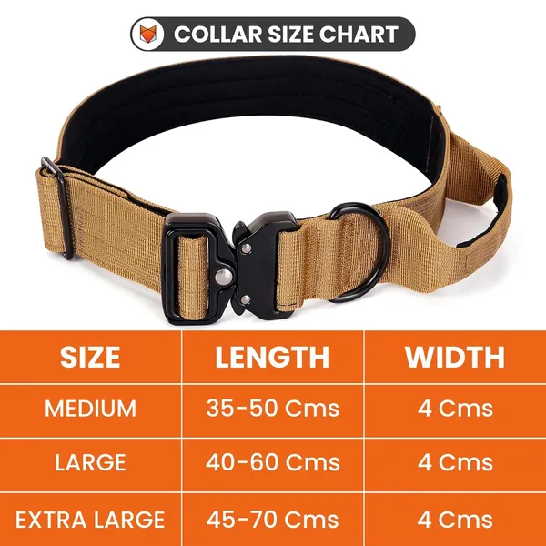 Metal_Buckle_Nylon_Dog_Collar