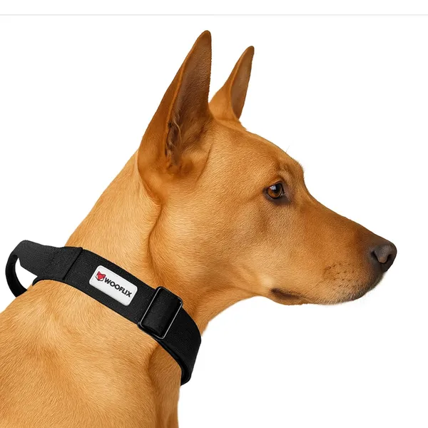 Metal_Buckle_Nylon_Dog_Collar