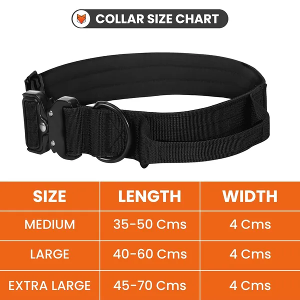 Metal_Buckle_Nylon_Dog_Collar