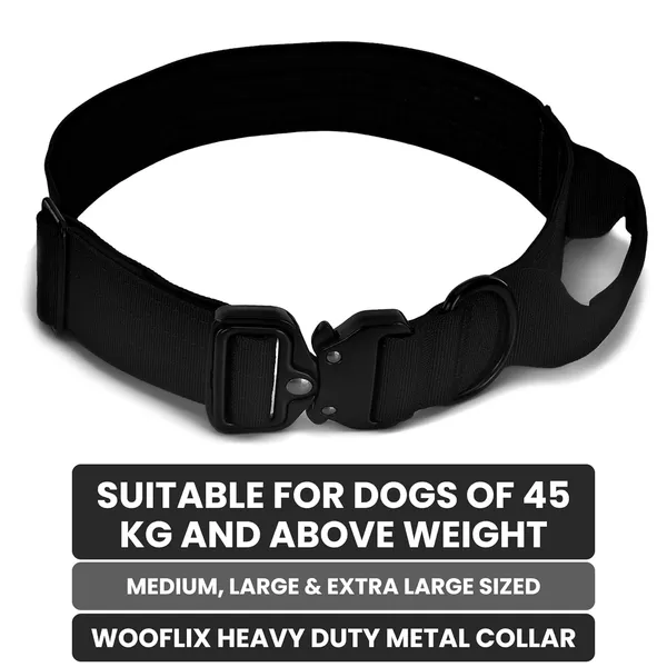 Metal_Buckle_Nylon_Dog_Collar