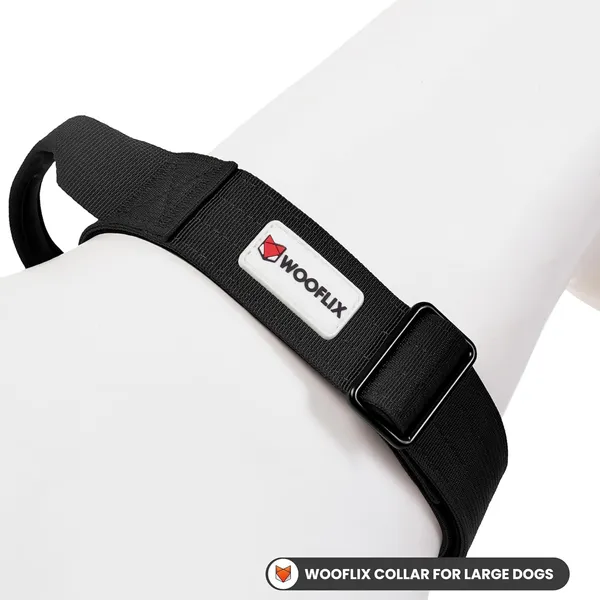Metal_Buckle_Nylon_Dog_Collar