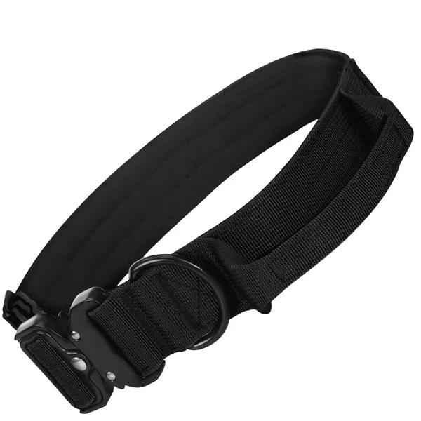 Metal_Buckle_Nylon_Dog_Collar