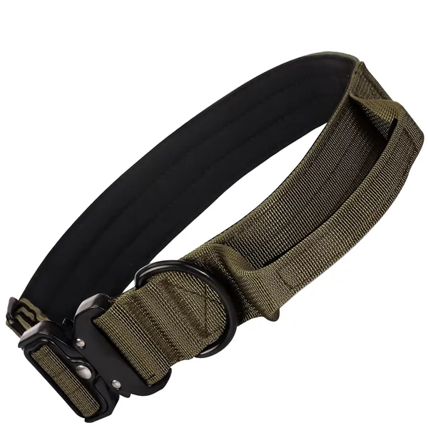 Metal_Buckle_Nylon_Dog_Collar