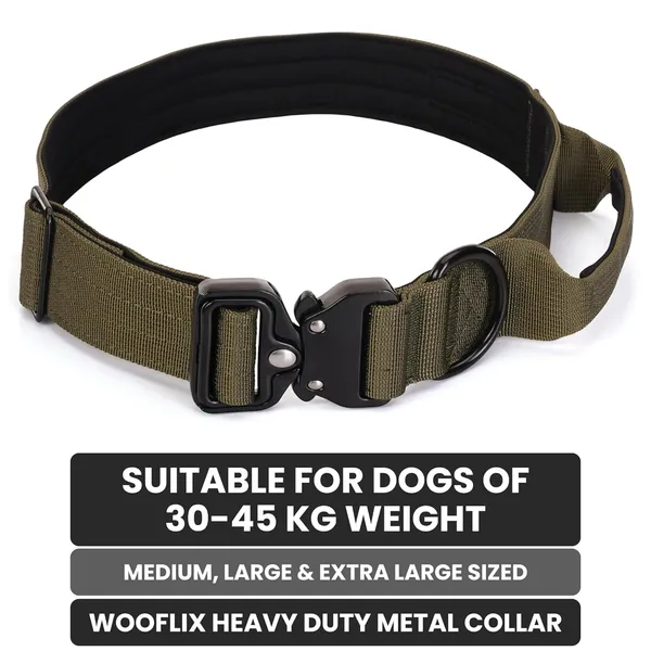 Metal_Buckle_Nylon_Dog_Collar