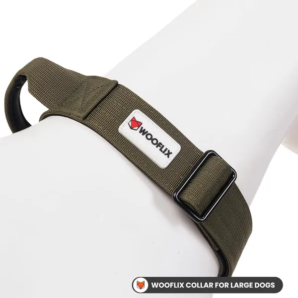 Metal_Buckle_Nylon_Dog_Collar
