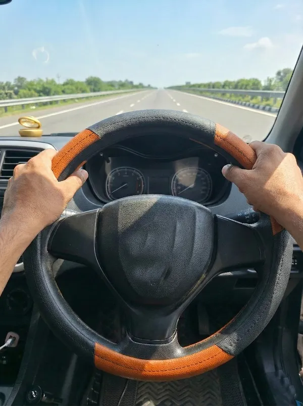 Steering_Black_Tan_3_Patti