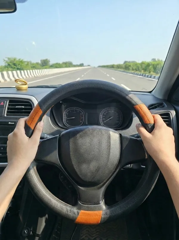 Steering_Black_Tan_3_Small_Patti