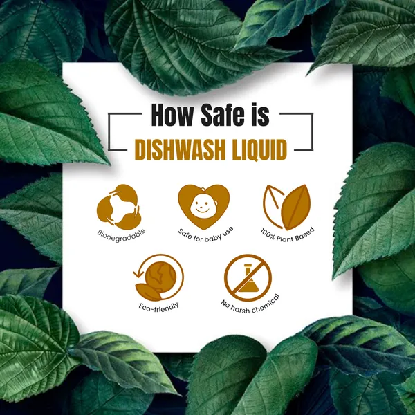 Econice_Natural_Dishwash_Liquid_500Ml_Pack_Of_2