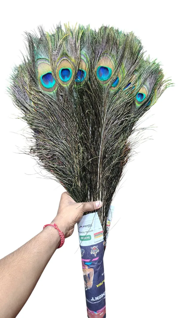 Natural_Peacock_Feather_Decorative_Bundle